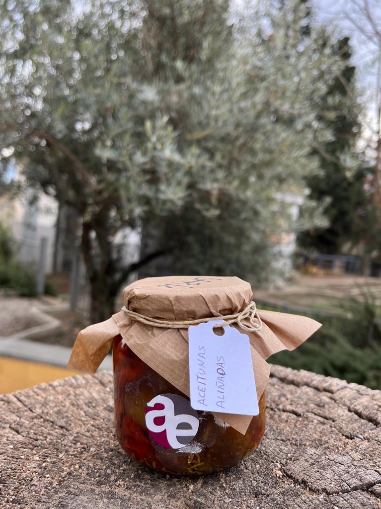 WhatsApp Image 2023-12-06 at 13.55.18