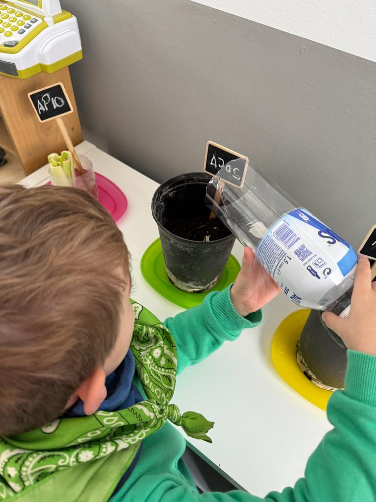 WhatsApp Image 2024-01-15 at 18.43.22 (13)