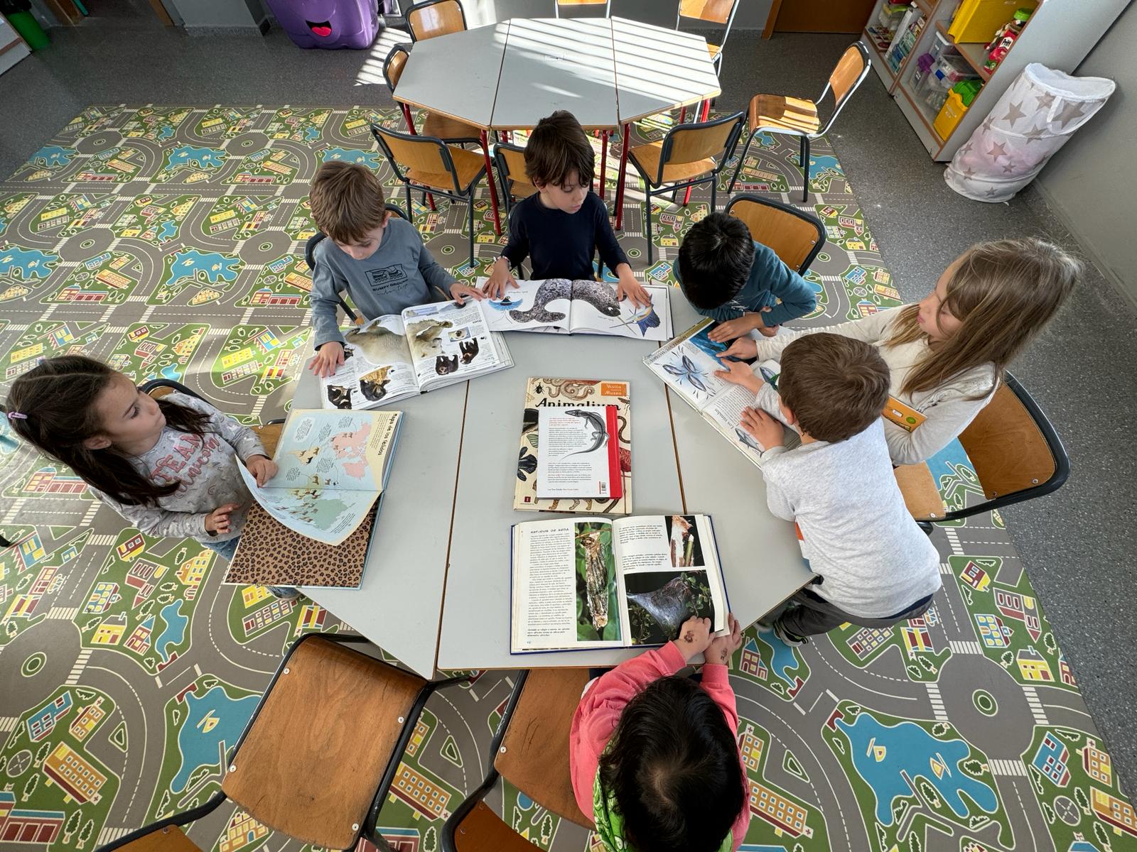 WhatsApp Image 2024-01-26 at 21.02.39 (6)