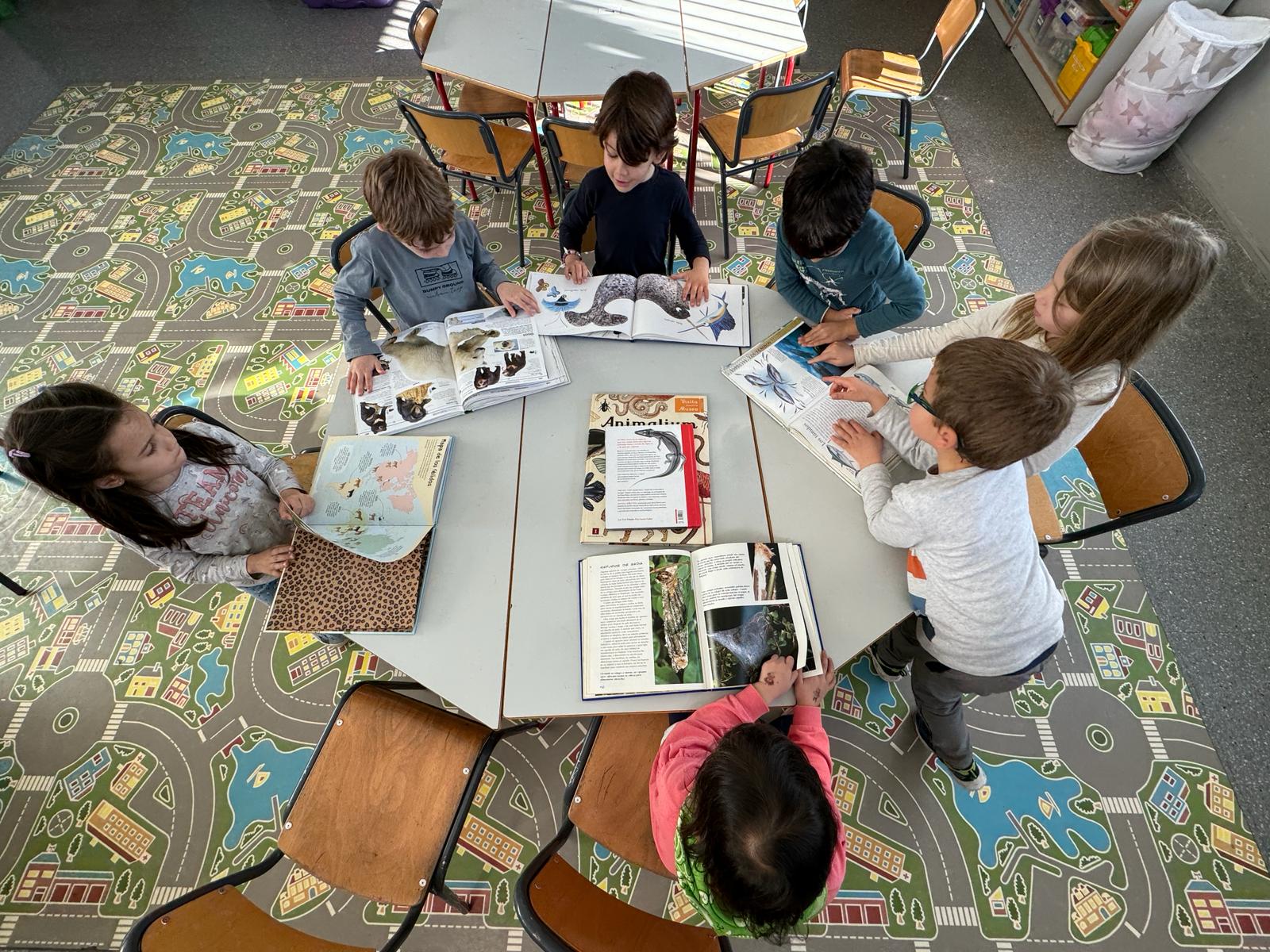 WhatsApp Image 2024-01-26 at 21.02.39 (7)