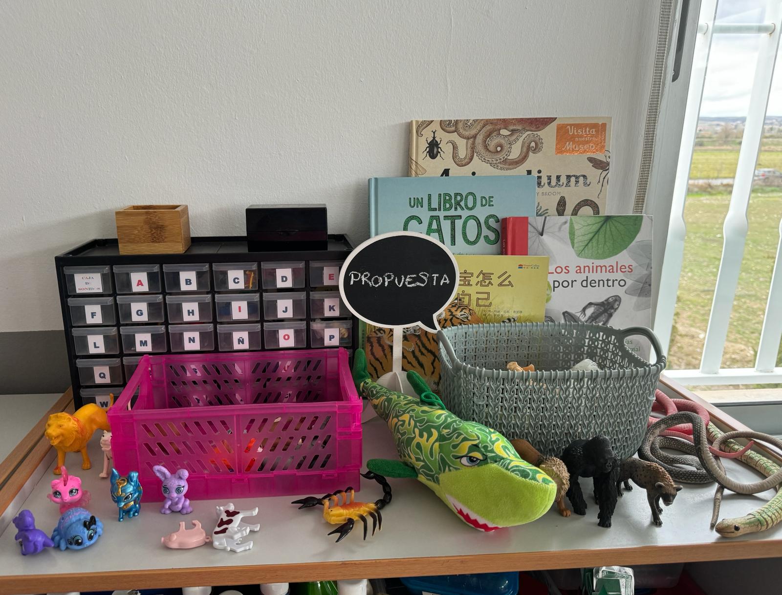 WhatsApp Image 2024-01-29 at 18.31.37 (12)