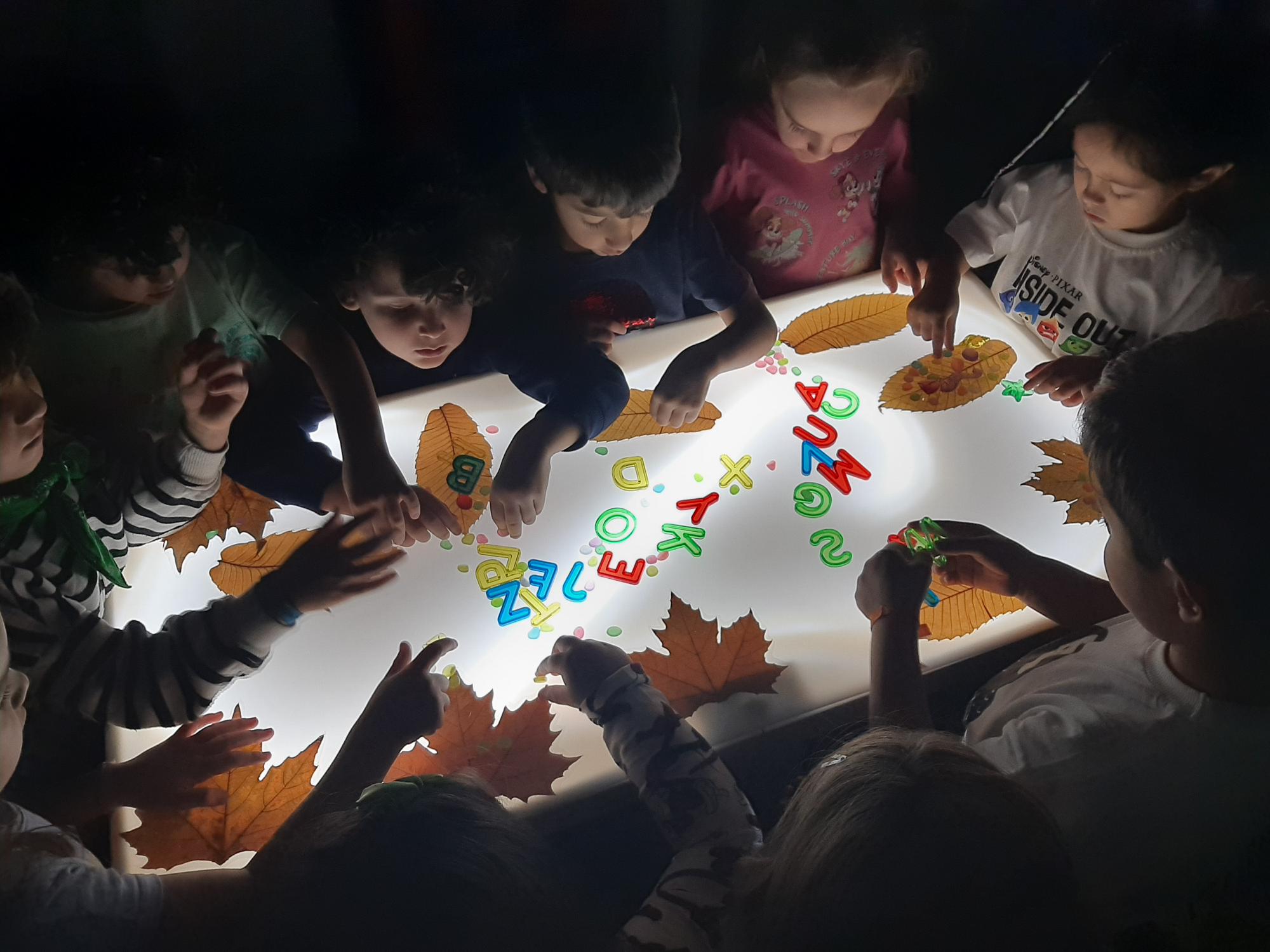 20240925_100845 20240925_100845