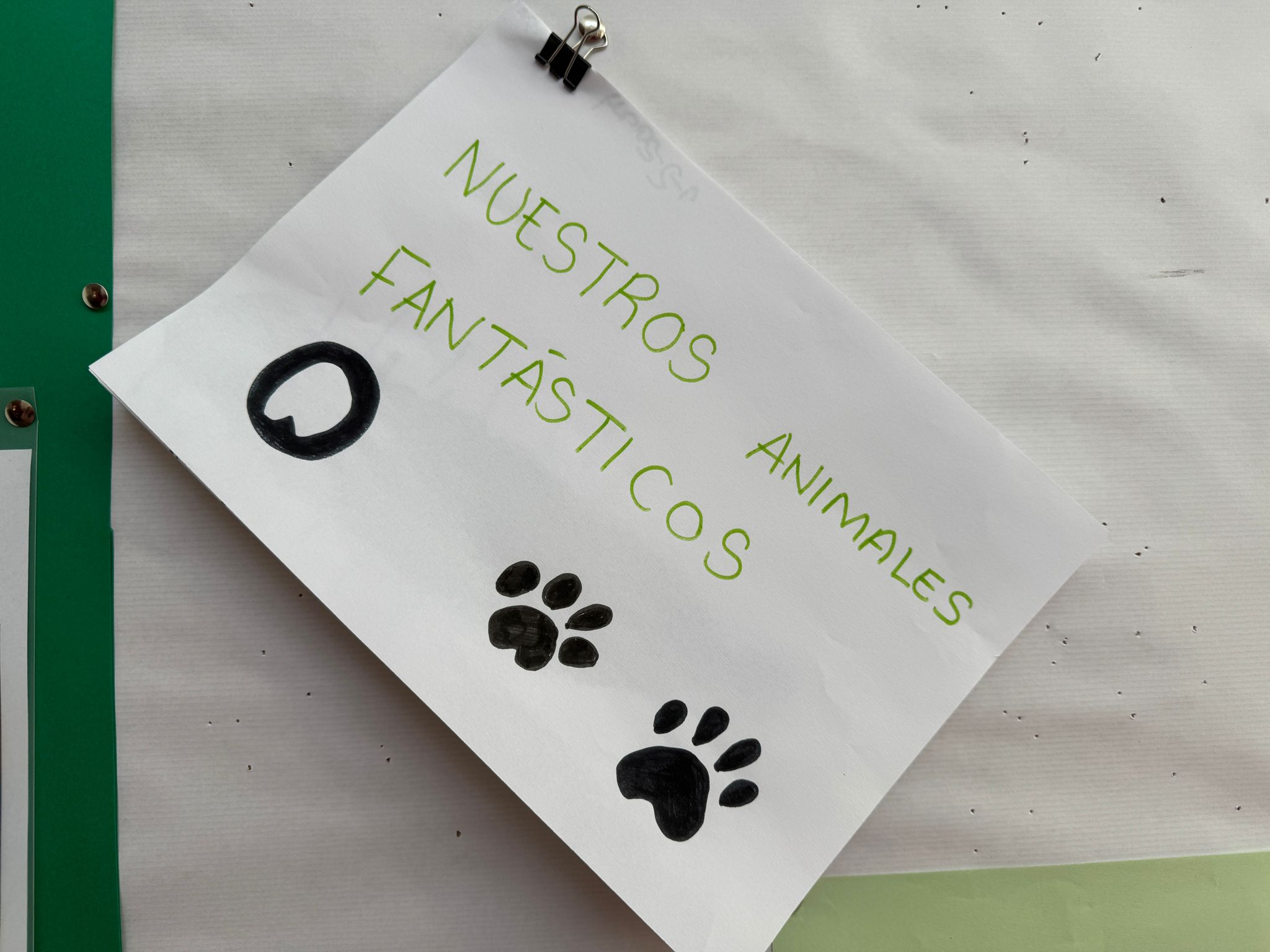 WhatsApp Image 2024-02-04 at 15.34.36