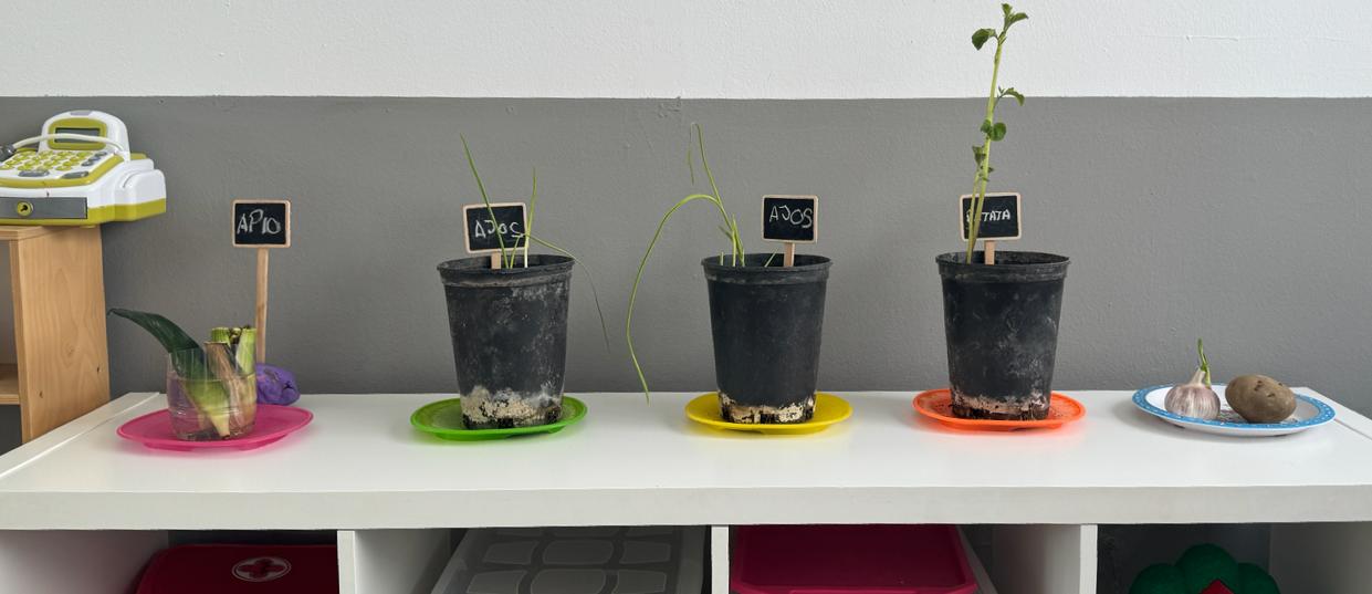 WhatsApp Image 2024-02-09 at 10.12.06