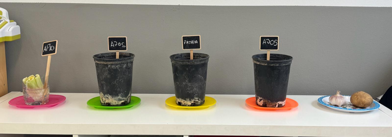 WhatsApp Image 2024-02-09 at 10.12.19