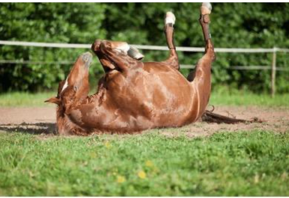 Screenshot_2024-06-05-17-53-28-364_com.android.chrome-edit