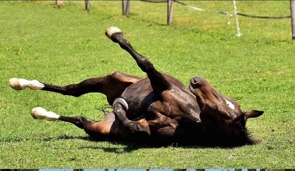 Screenshot_2024-06-05-17-54-04-996_com.android.chrome-edit