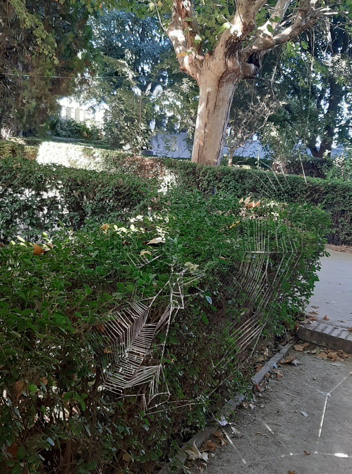 20240930_095426 20240930_095426