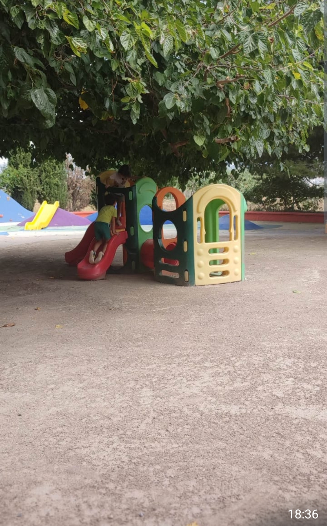 Screenshot_2024-09-18-18-37-52-737_com.whatsapp-edit