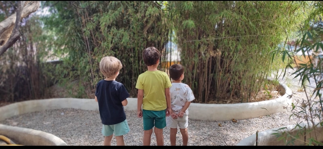 Screenshot_2024-09-18-18-39-23-900_com.whatsapp-edit