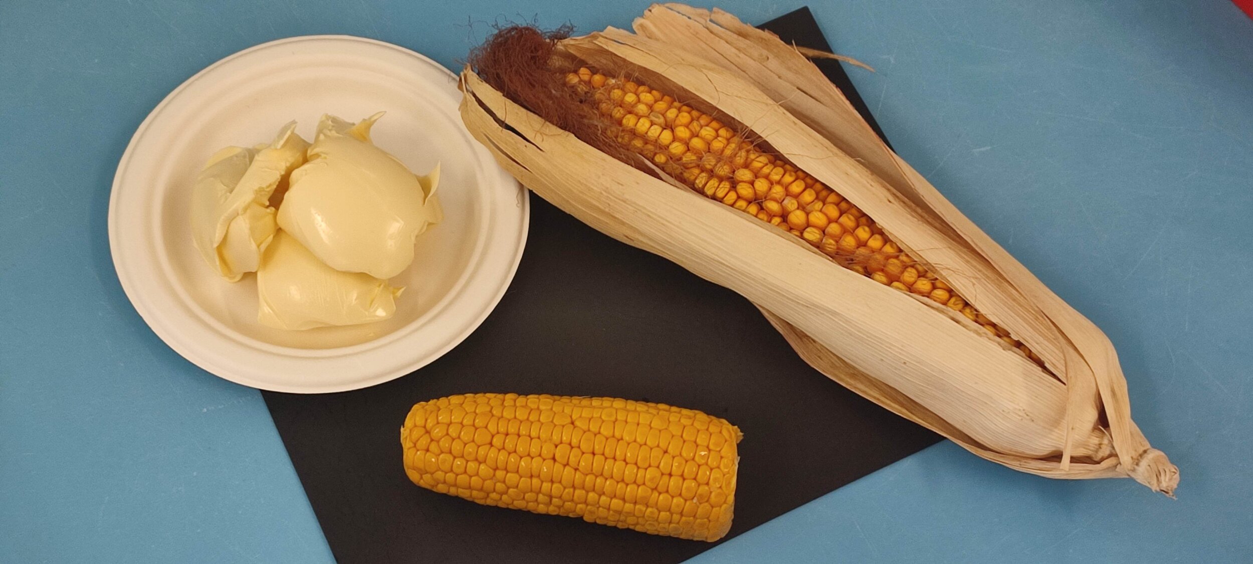 IMG_20241010_094722 IMG_20241010_094722