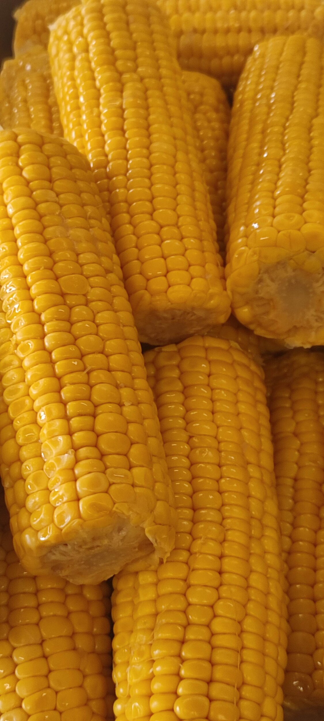 IMG_20241010_100957 IMG_20241010_100957