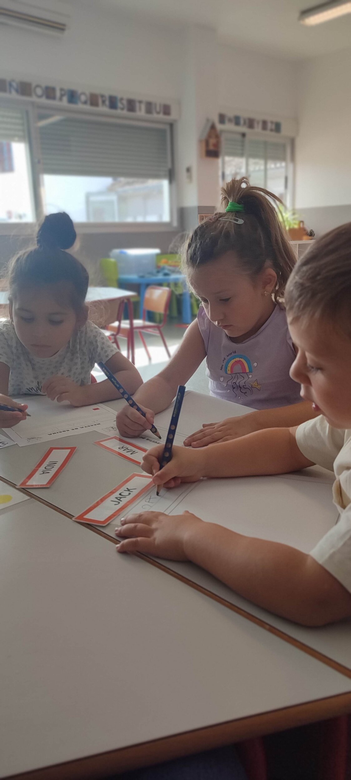 IMG_20241010_111209 IMG_20241010_111209