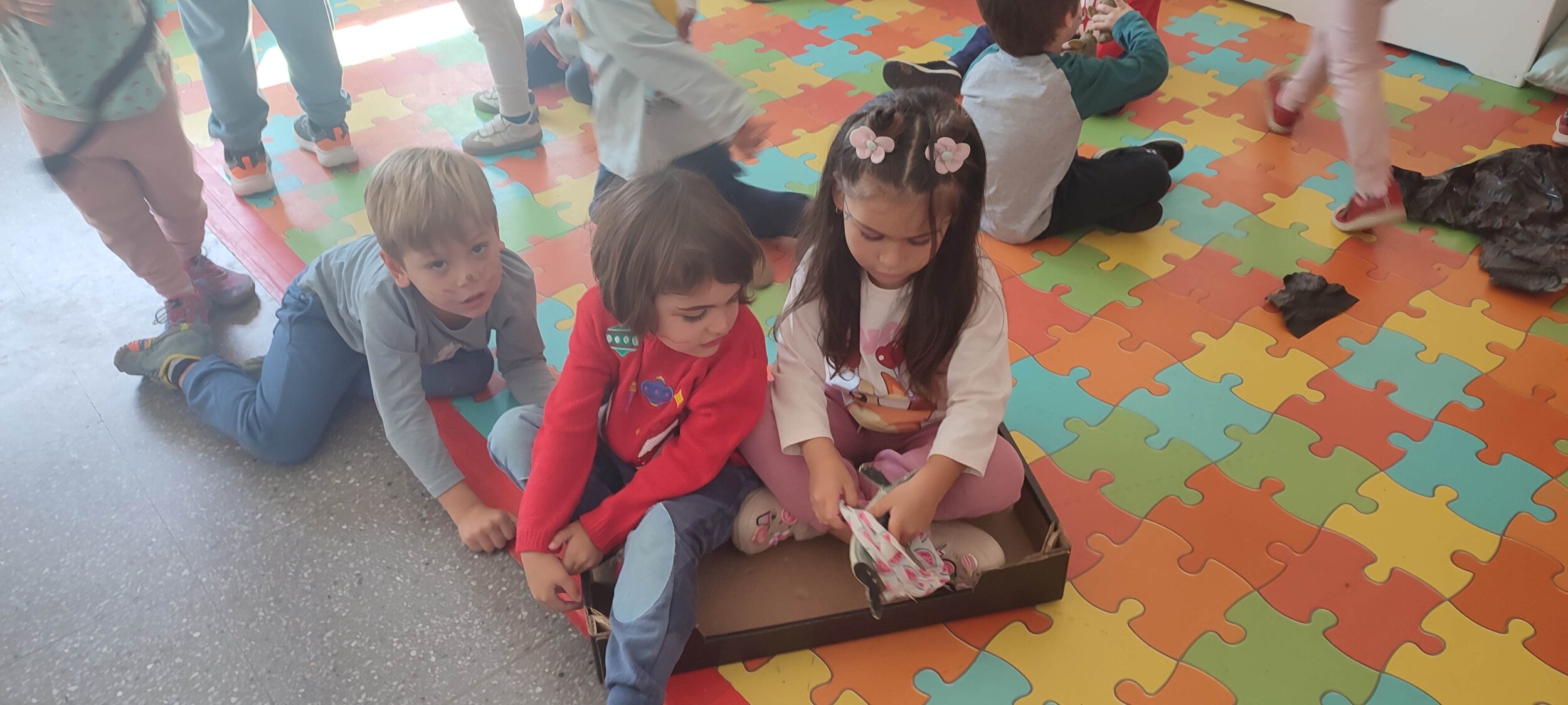 IMG_20241022_111741 IMG_20241022_111741