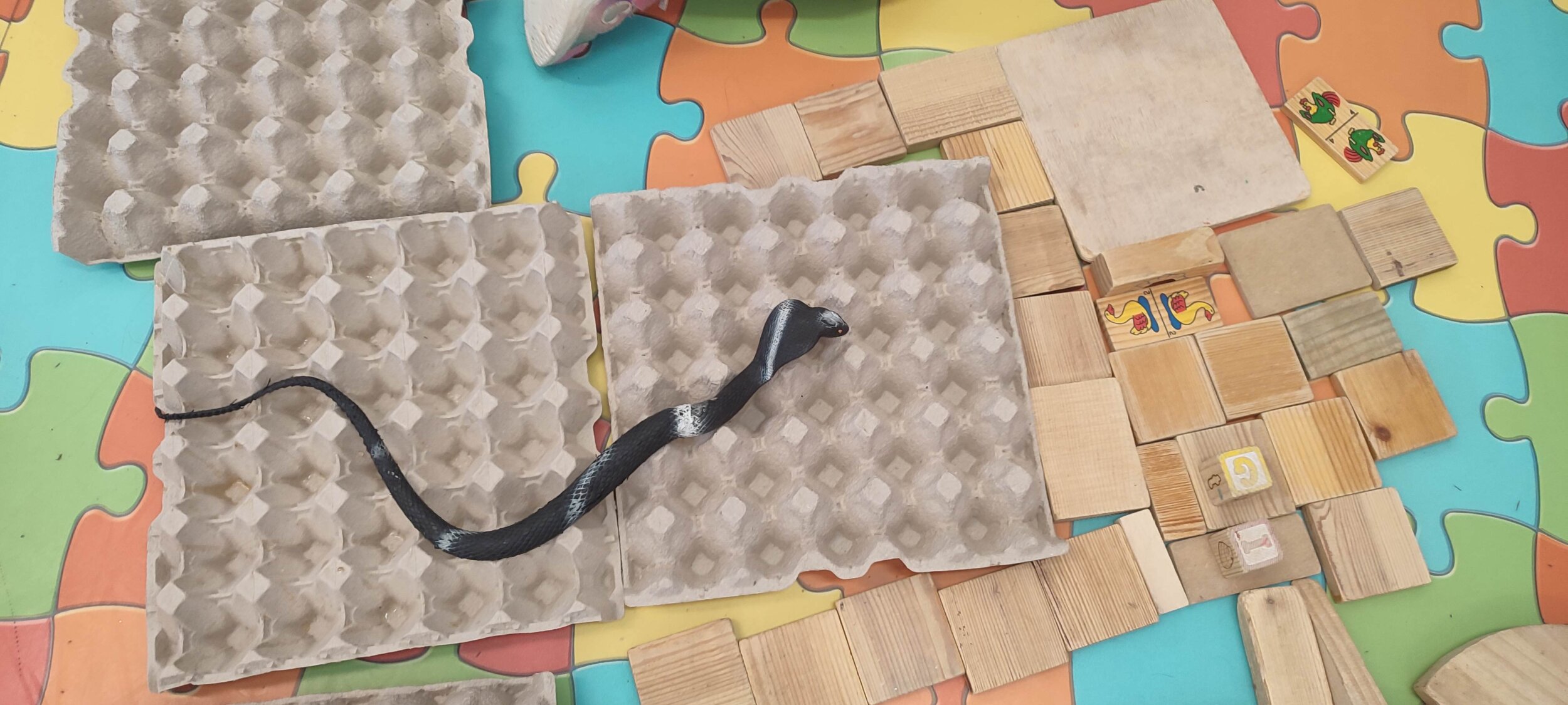 IMG_20241023_105220 IMG_20241023_105220