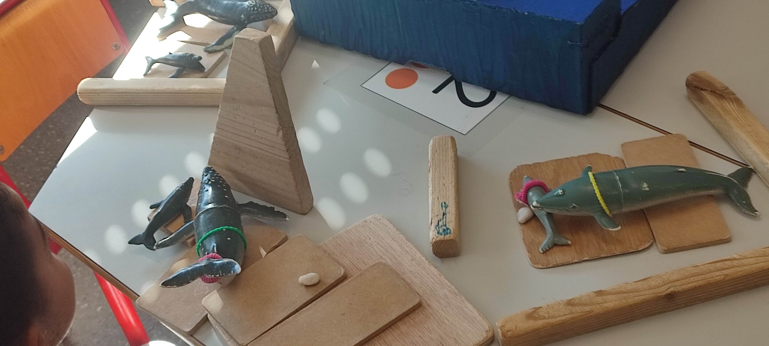 IMG_20241023_105933 IMG_20241023_105933