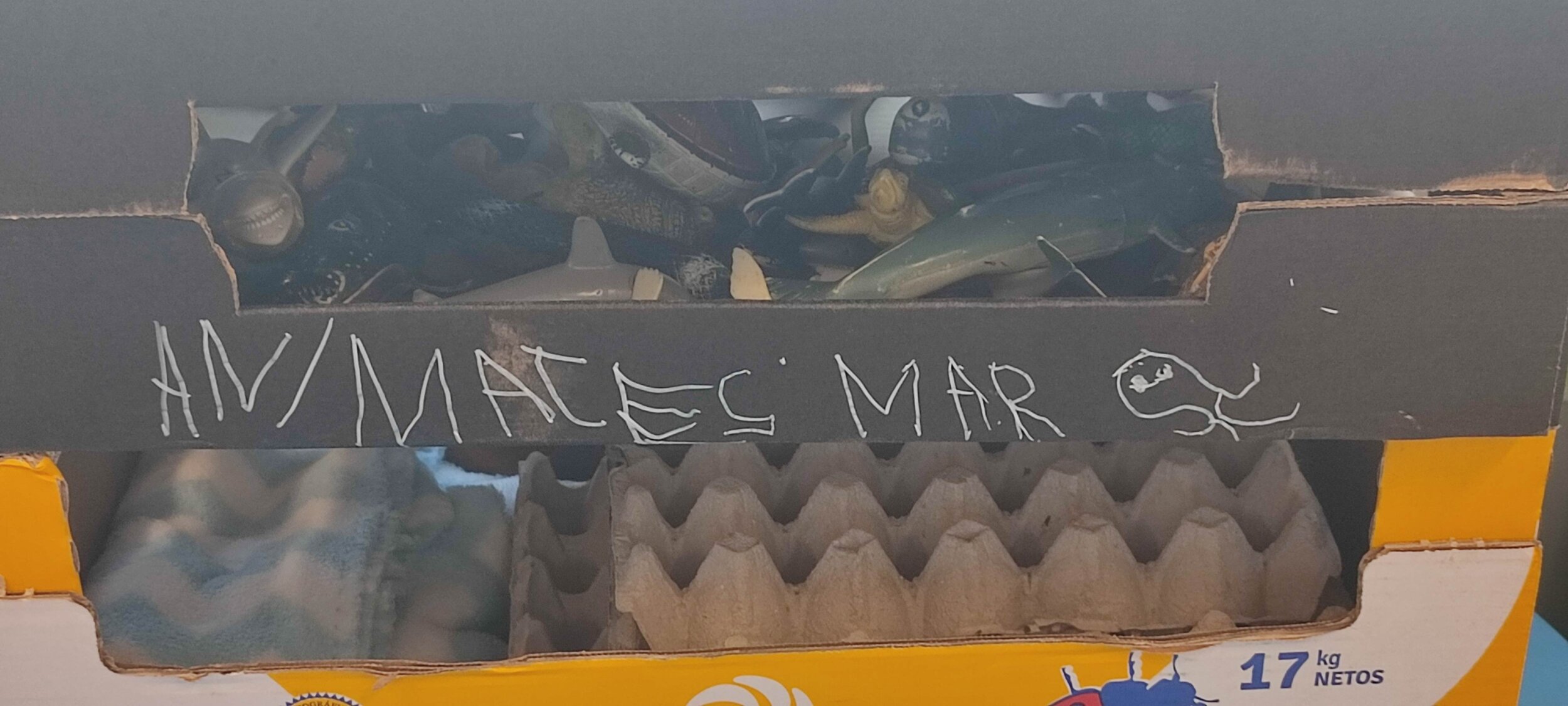 IMG_20241023_155908 IMG_20241023_155908