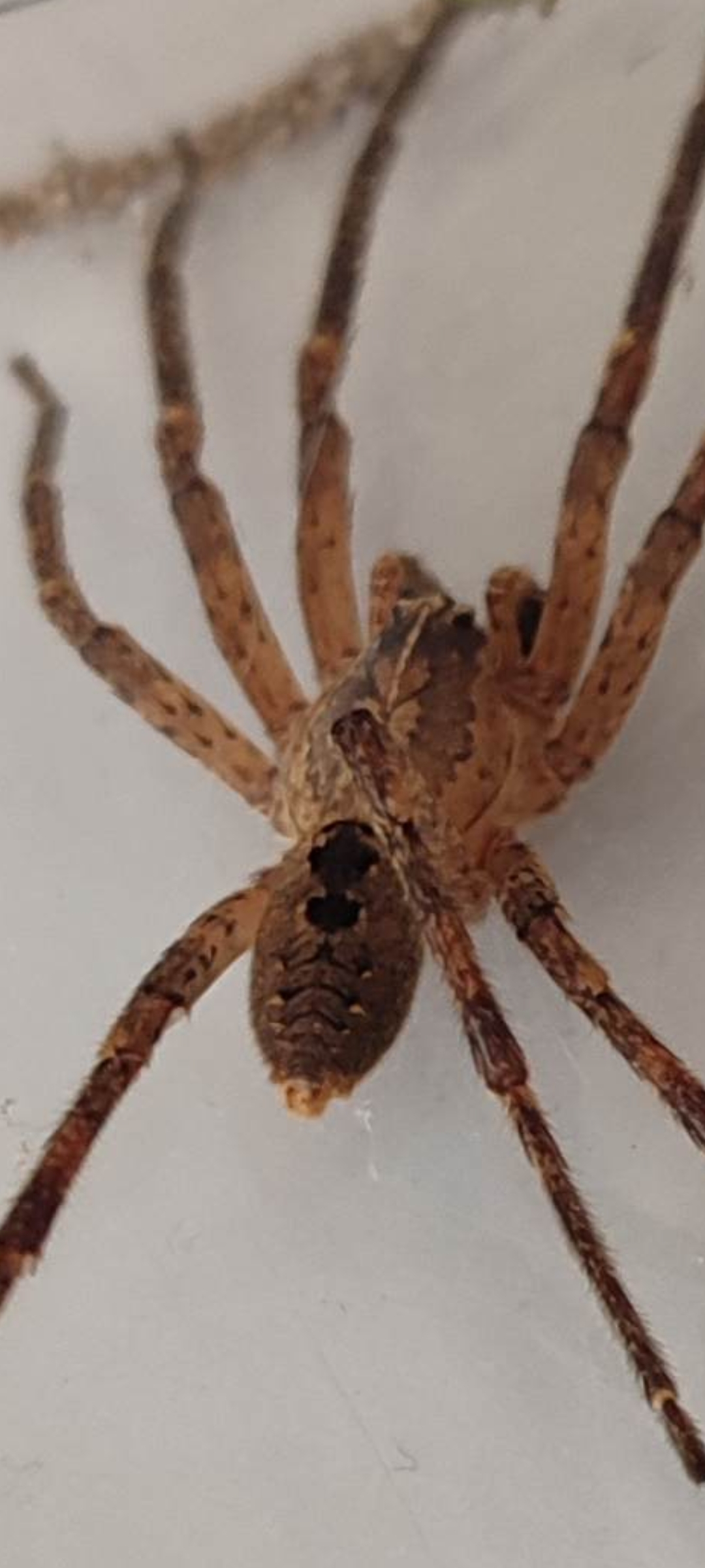 Screenshot_2024-10-28-19-31-22-646_com.miui.gallery