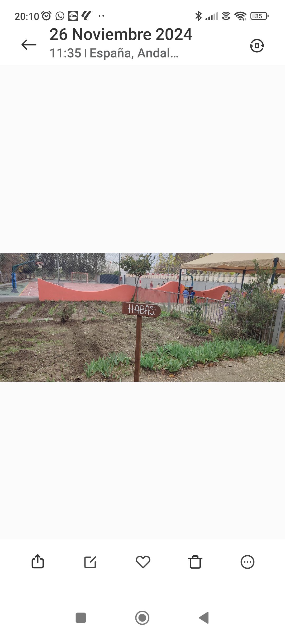 Screenshot_2024-11-27-20-10-48-416_com.miui.gallery