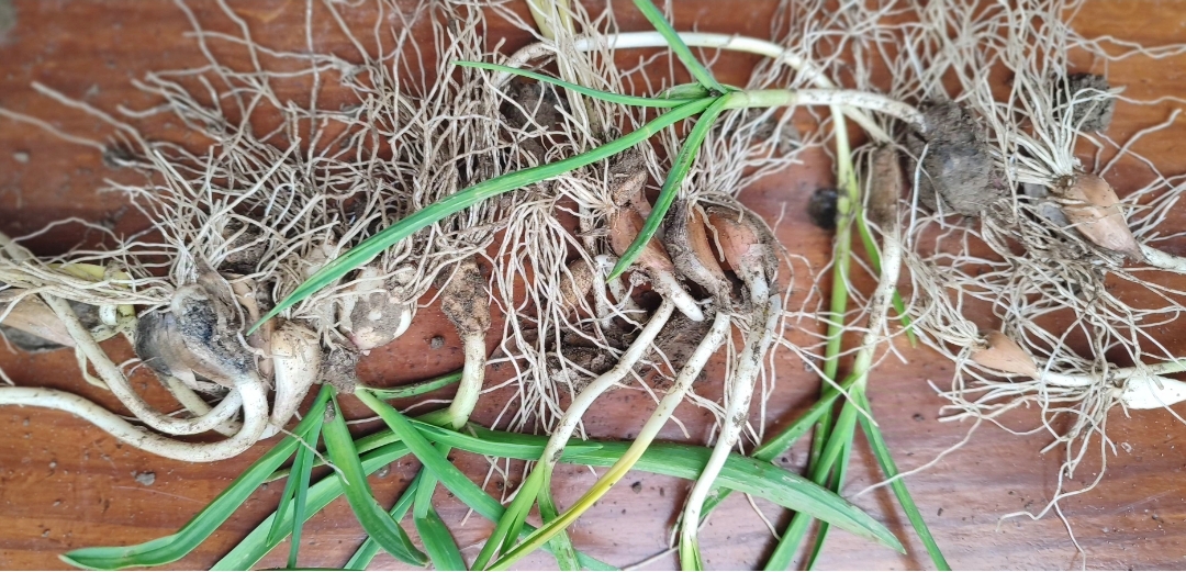 Screenshot_2024-11-27-21-15-52-710_com.miui.gallery-edit