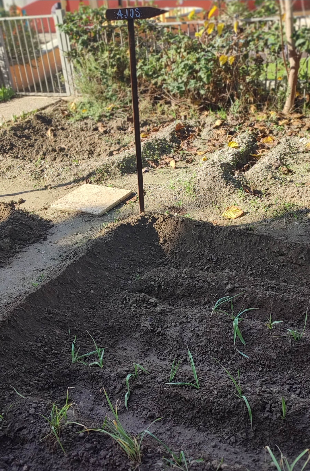 Screenshot_2024-11-27-21-16-21-304_com.miui.gallery-edit