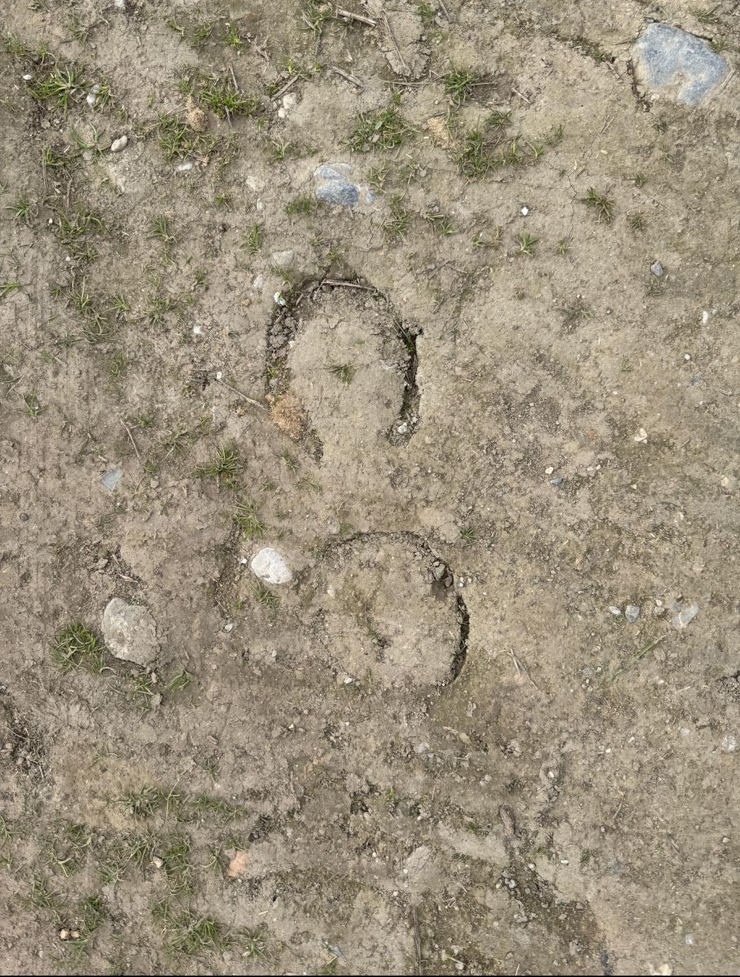 Screenshot_2024-12-18-09-08-42-681_com.whatsapp-edit