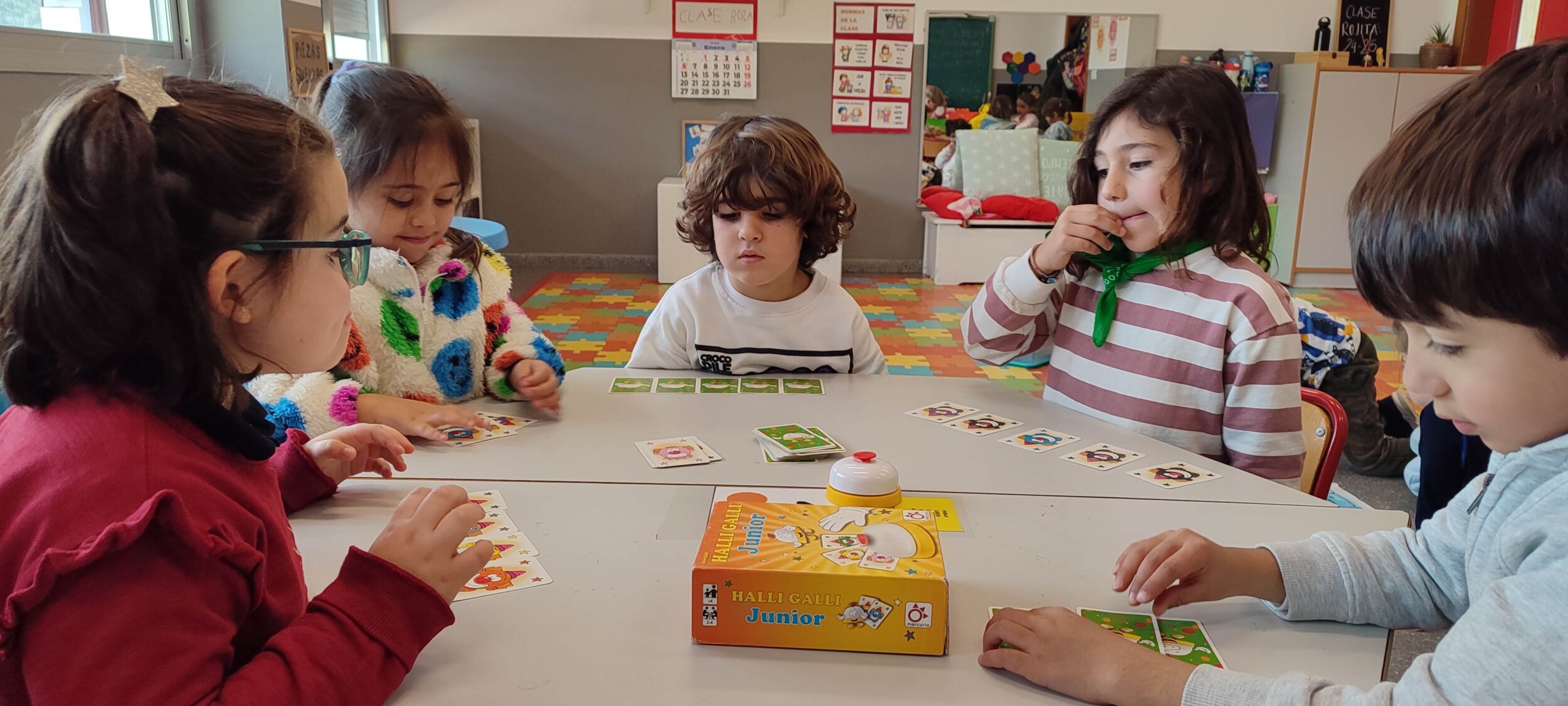 IMG_20250108_154512 IMG_20250108_154512