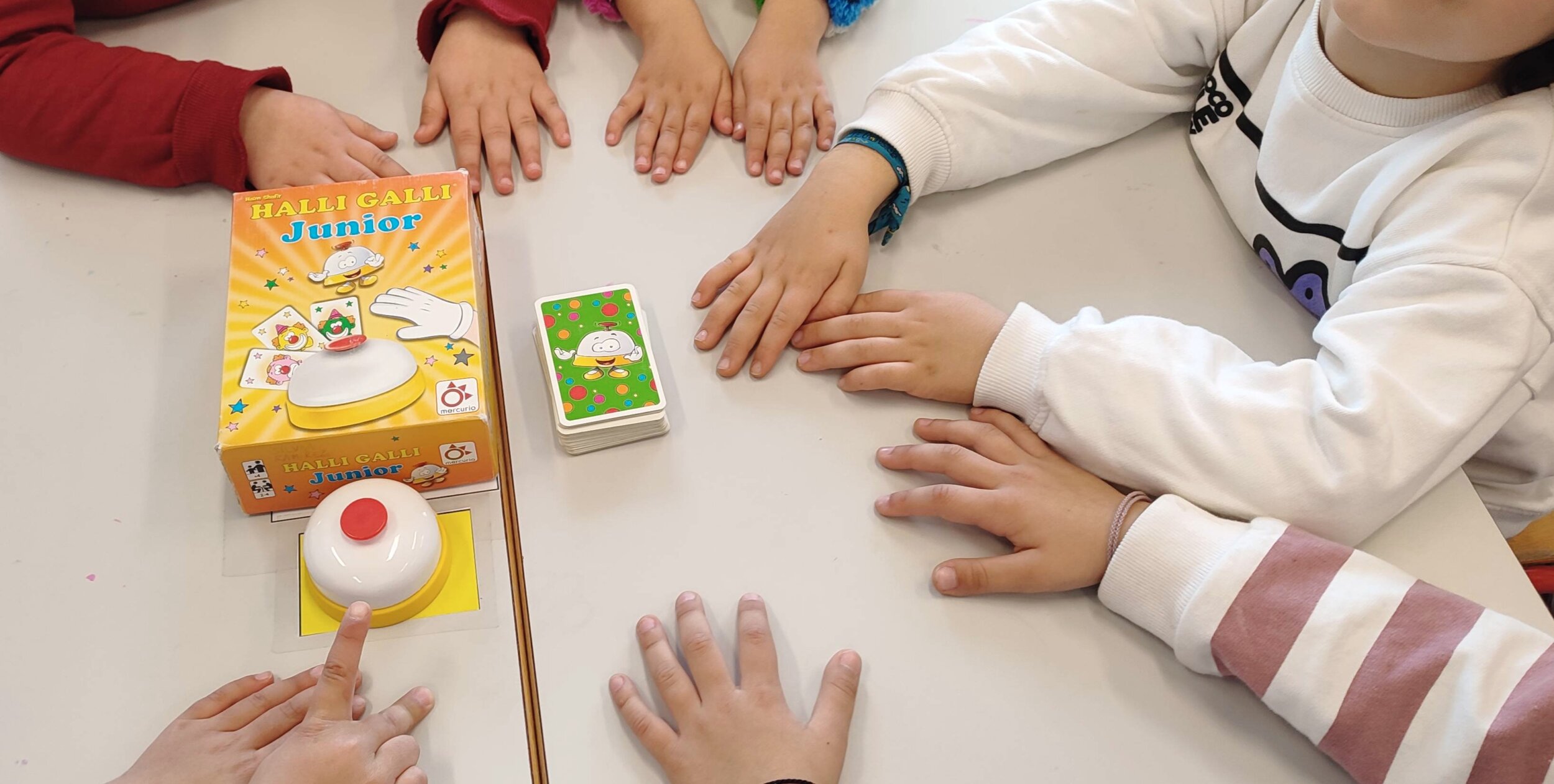 IMG_20250108_154742 IMG_20250108_154742