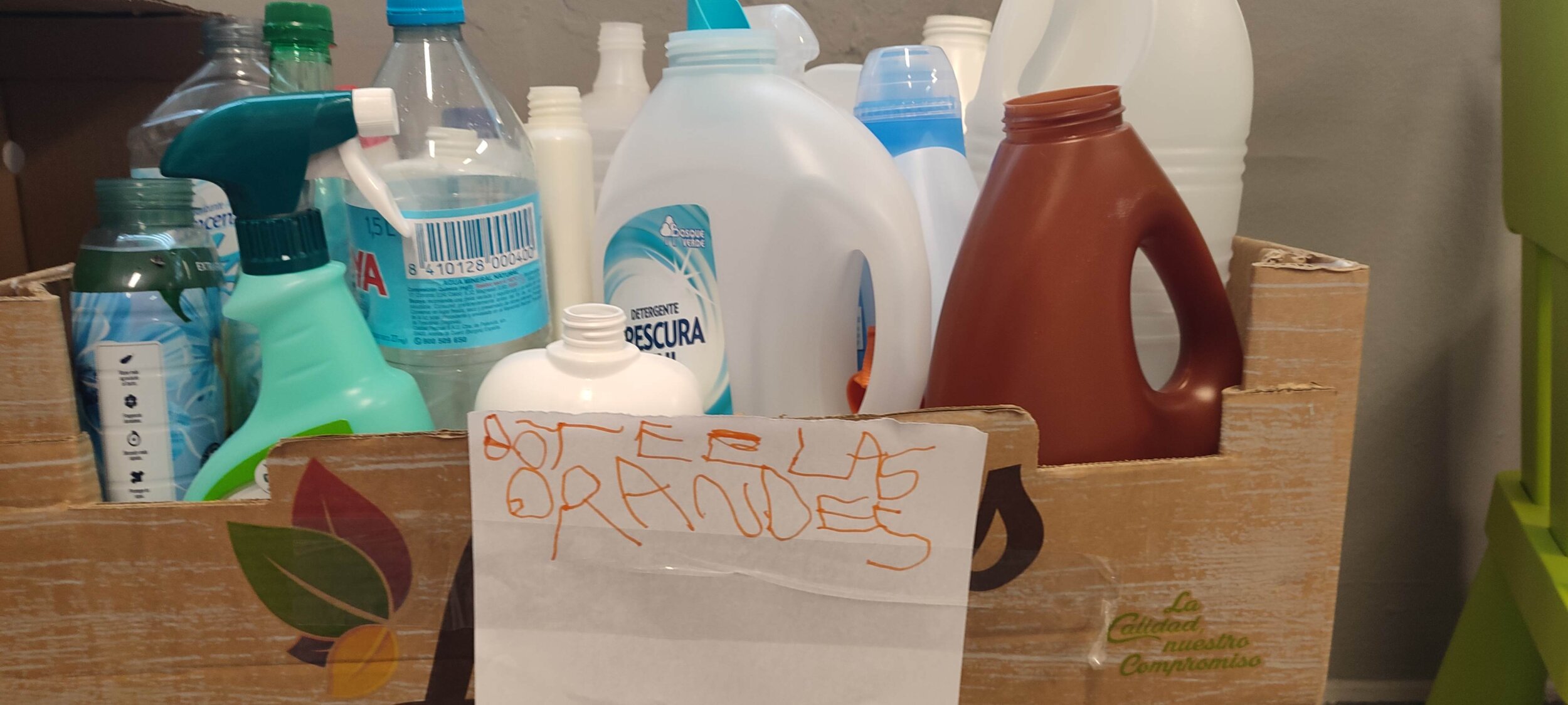 IMG_20241125_160021 IMG_20241125_160021