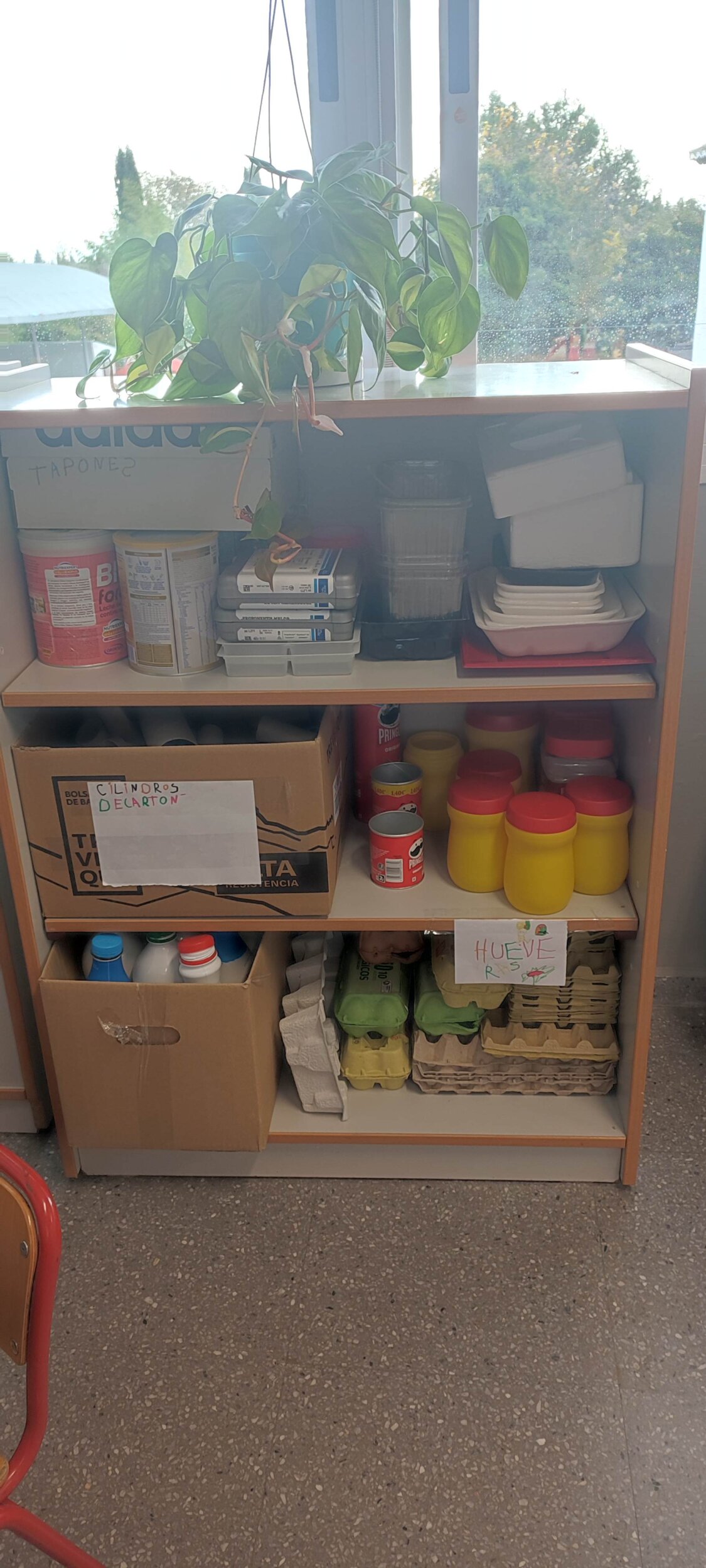 IMG_20241126_095717 IMG_20241126_095717