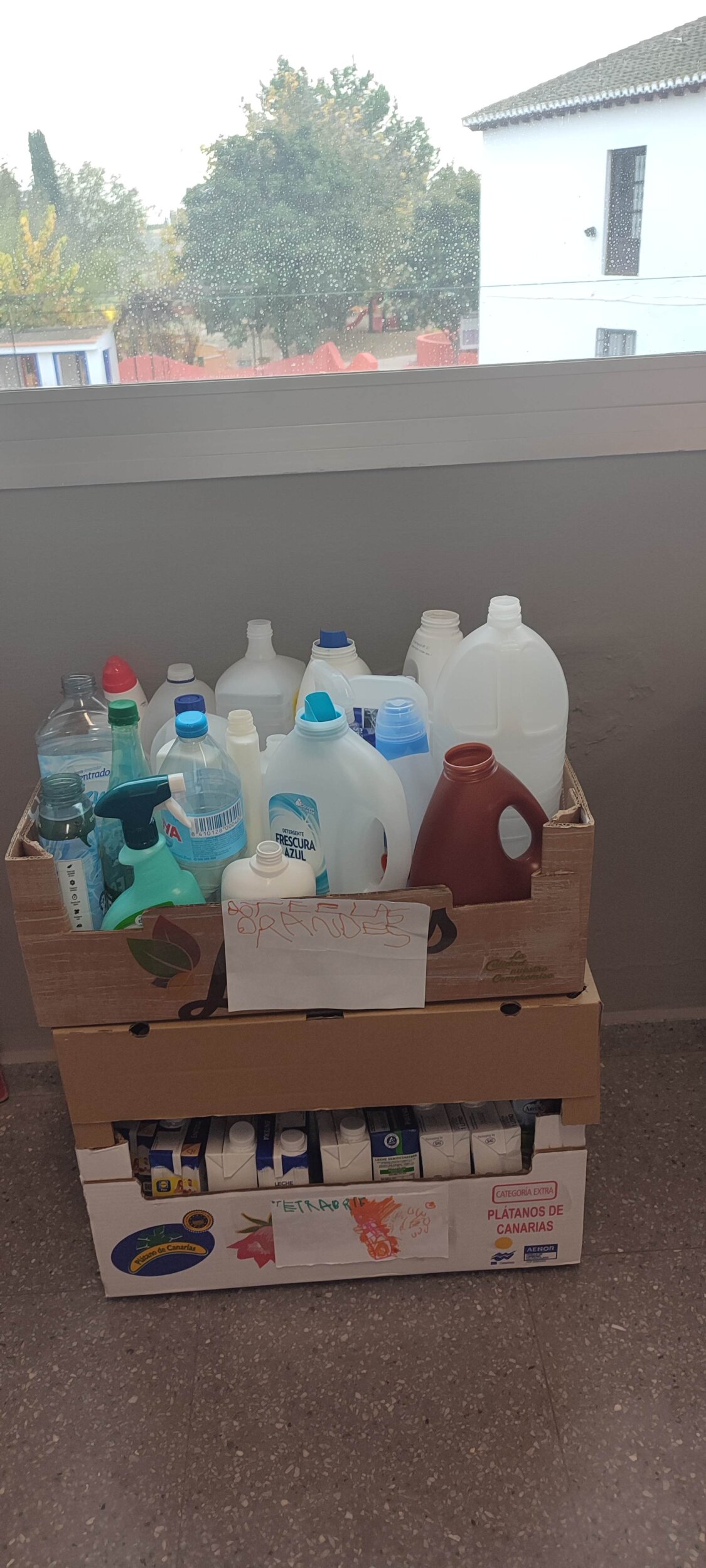 IMG_20241126_095722 IMG_20241126_095722