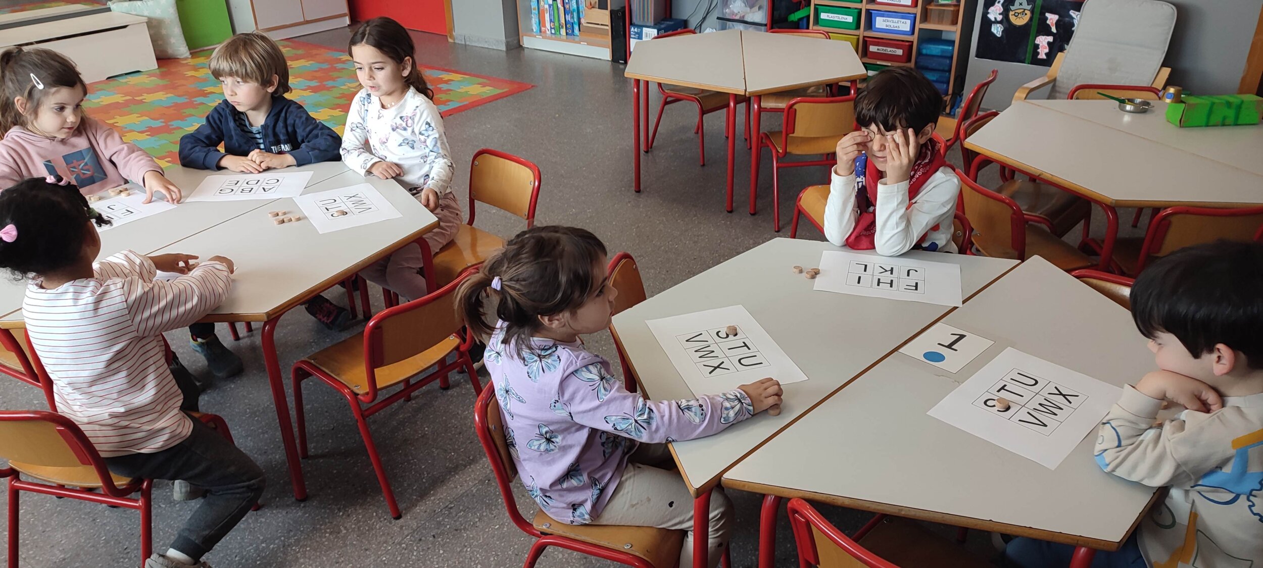 IMG_20250210_151253 IMG_20250210_151253