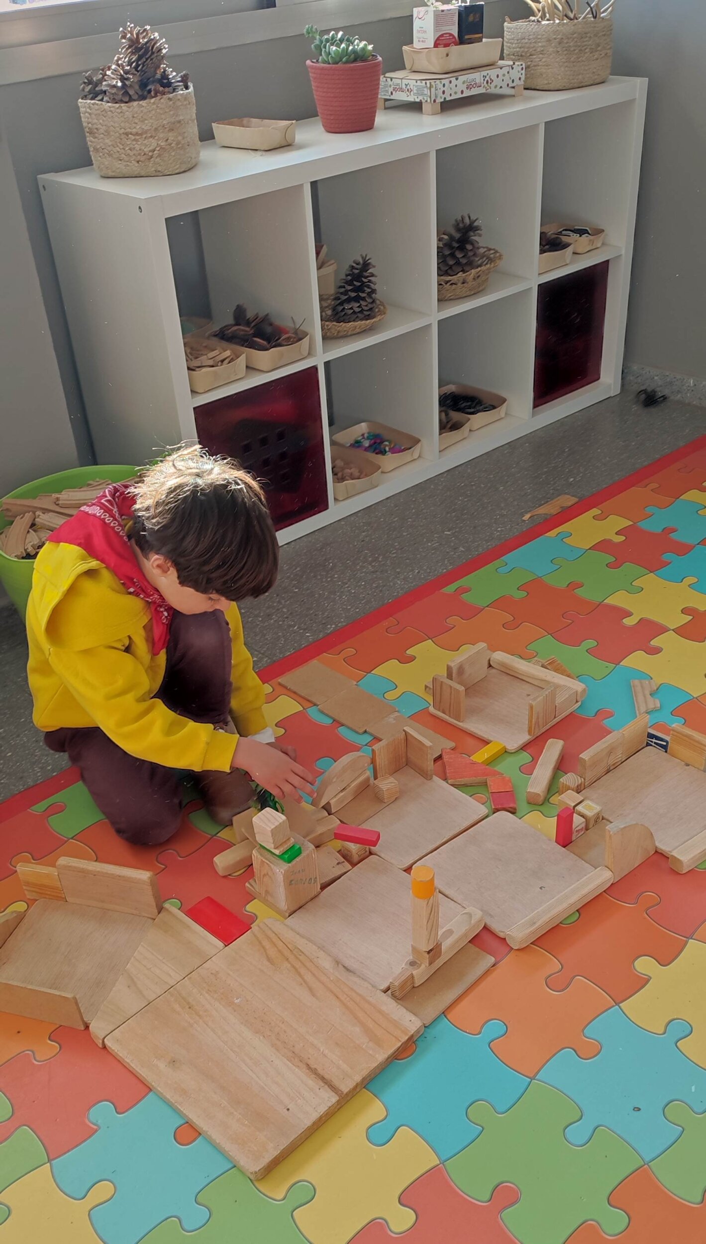 IMG_20250212_203827 IMG_20250212_203827