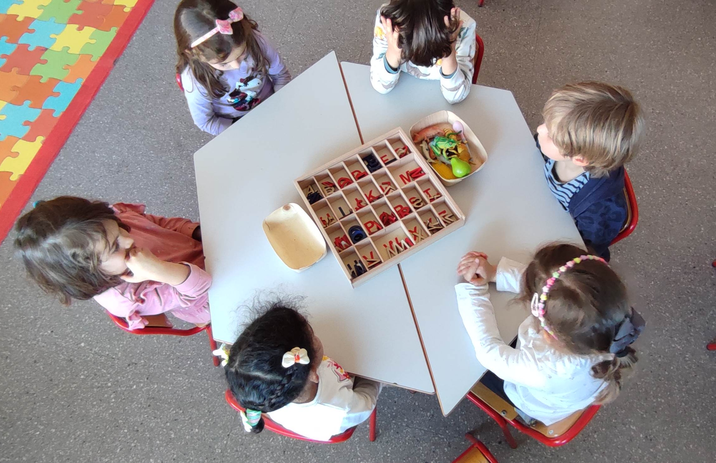 IMG_20250217_201830 IMG_20250217_201830