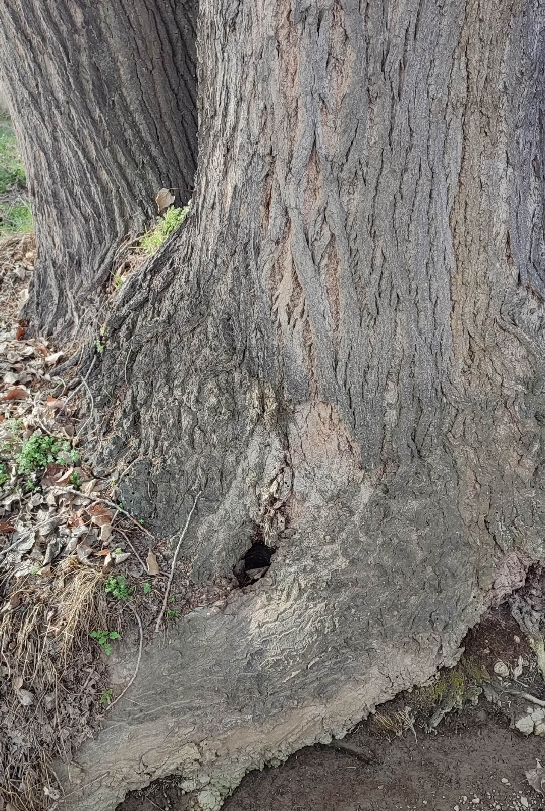 Screenshot_2025-02-25-22-06-57-148_com.miui.gallery-edit