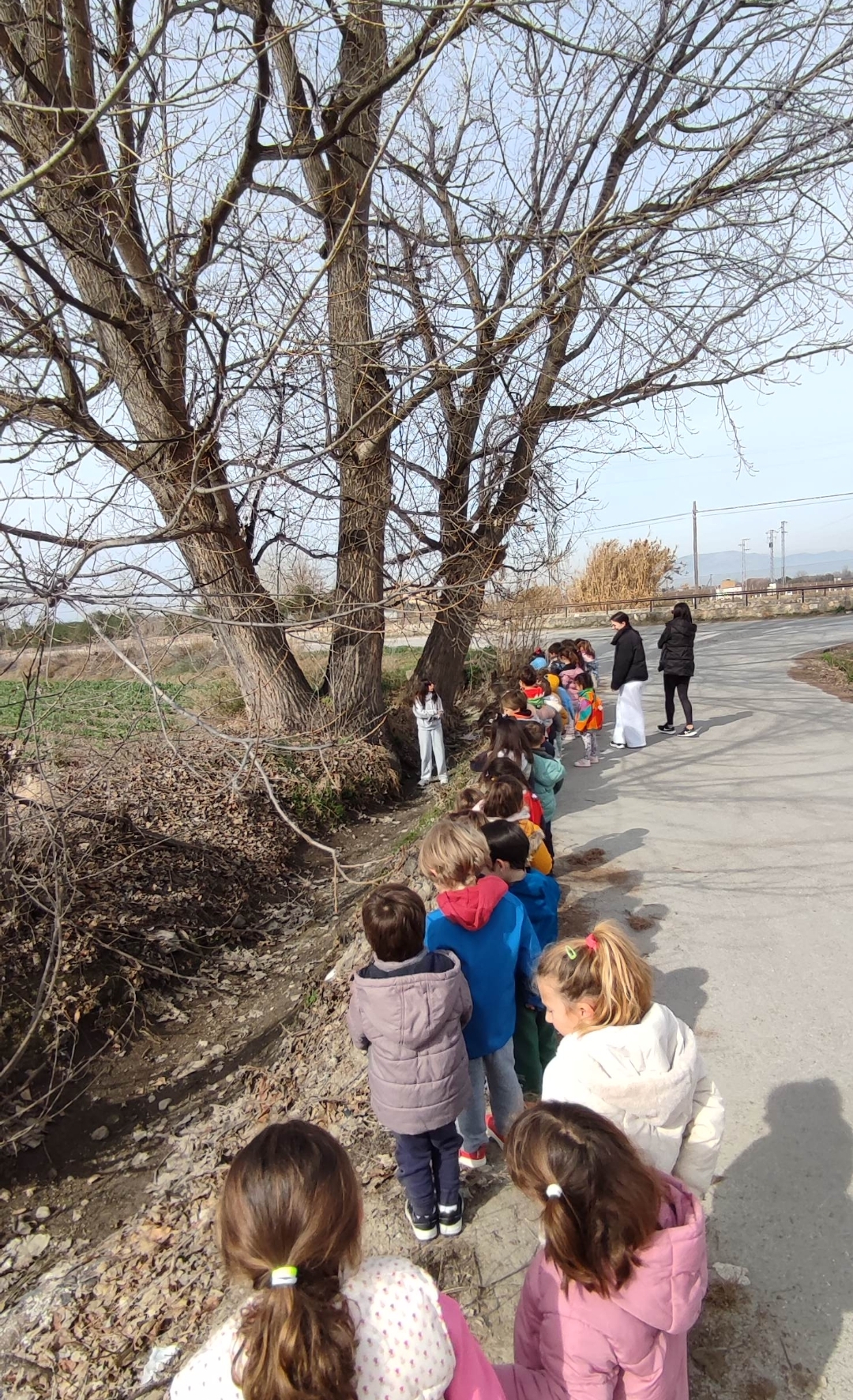 Screenshot_2025-02-25-22-07-35-188_com.miui.gallery-edit