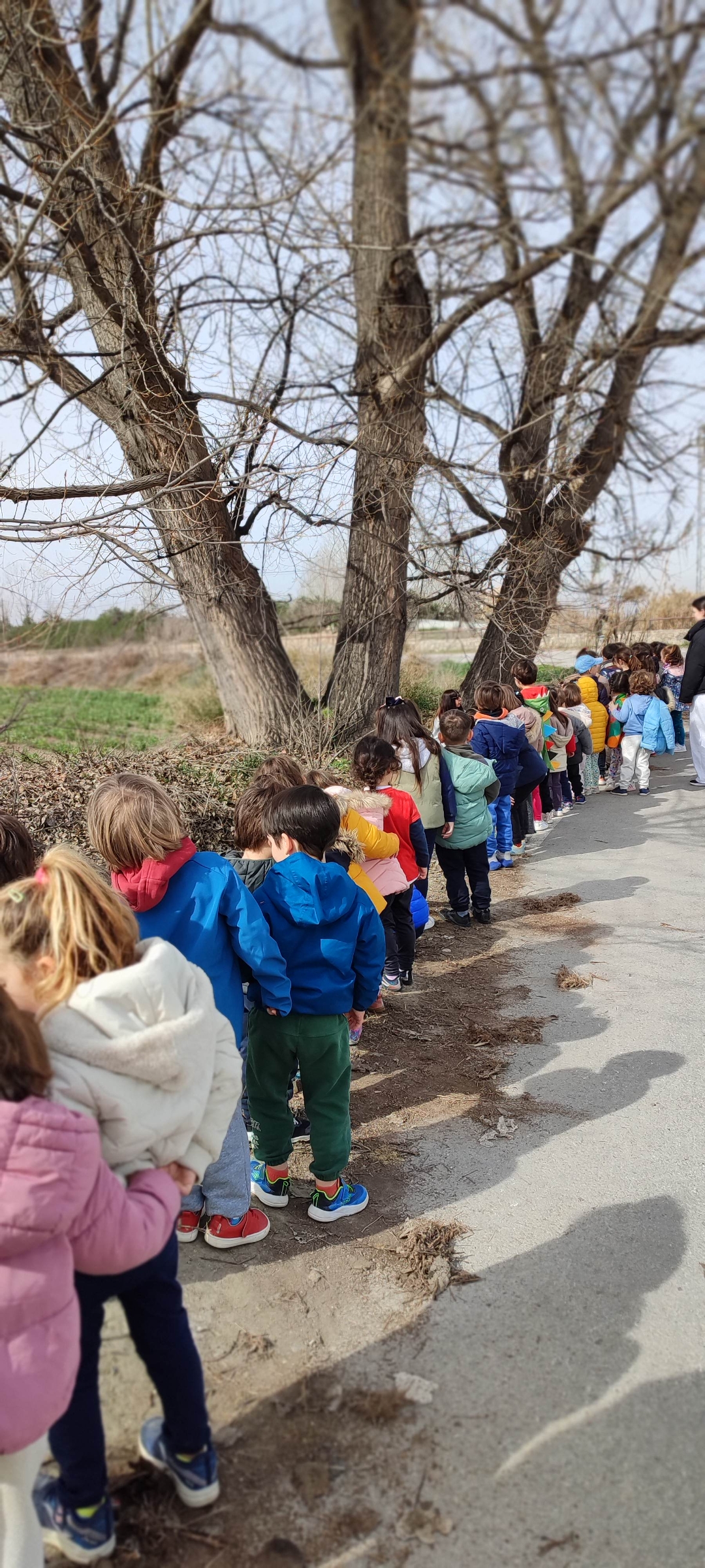 Screenshot_2025-02-25-22-08-06-460_com.miui.gallery