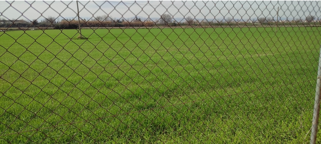 Screenshot_2025-02-25-22-09-37-473_com.miui.gallery-edit