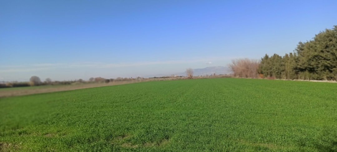 Screenshot_2025-02-25-22-48-51-761_com.miui.gallery-edit