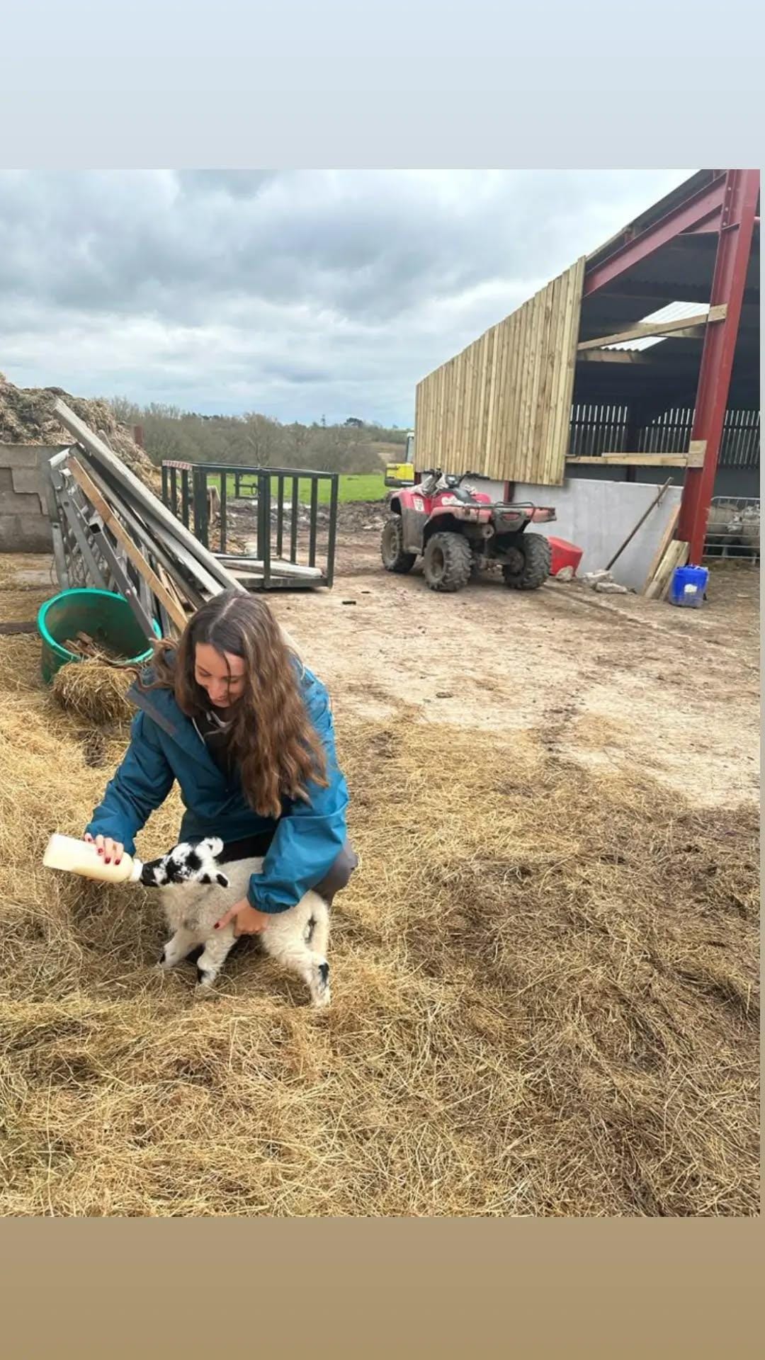 WhatsApp Image 2025-02-12 at 1.43.27 PM