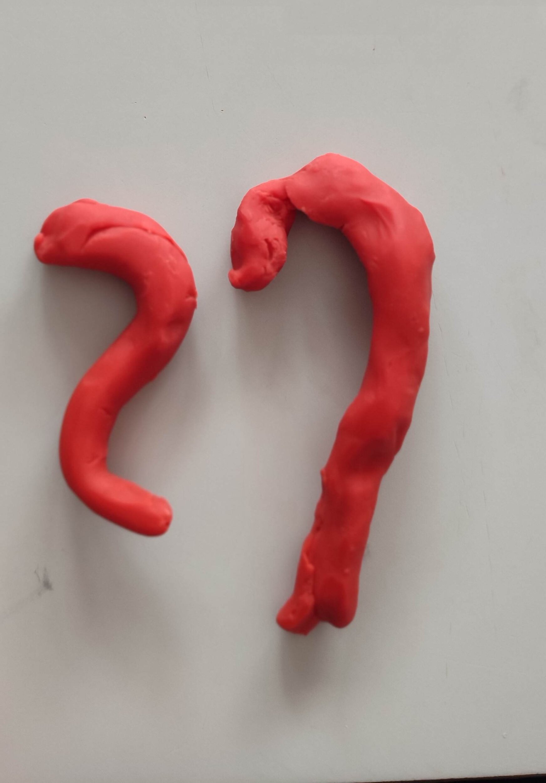 IMG_20250305_110031 IMG_20250305_110031