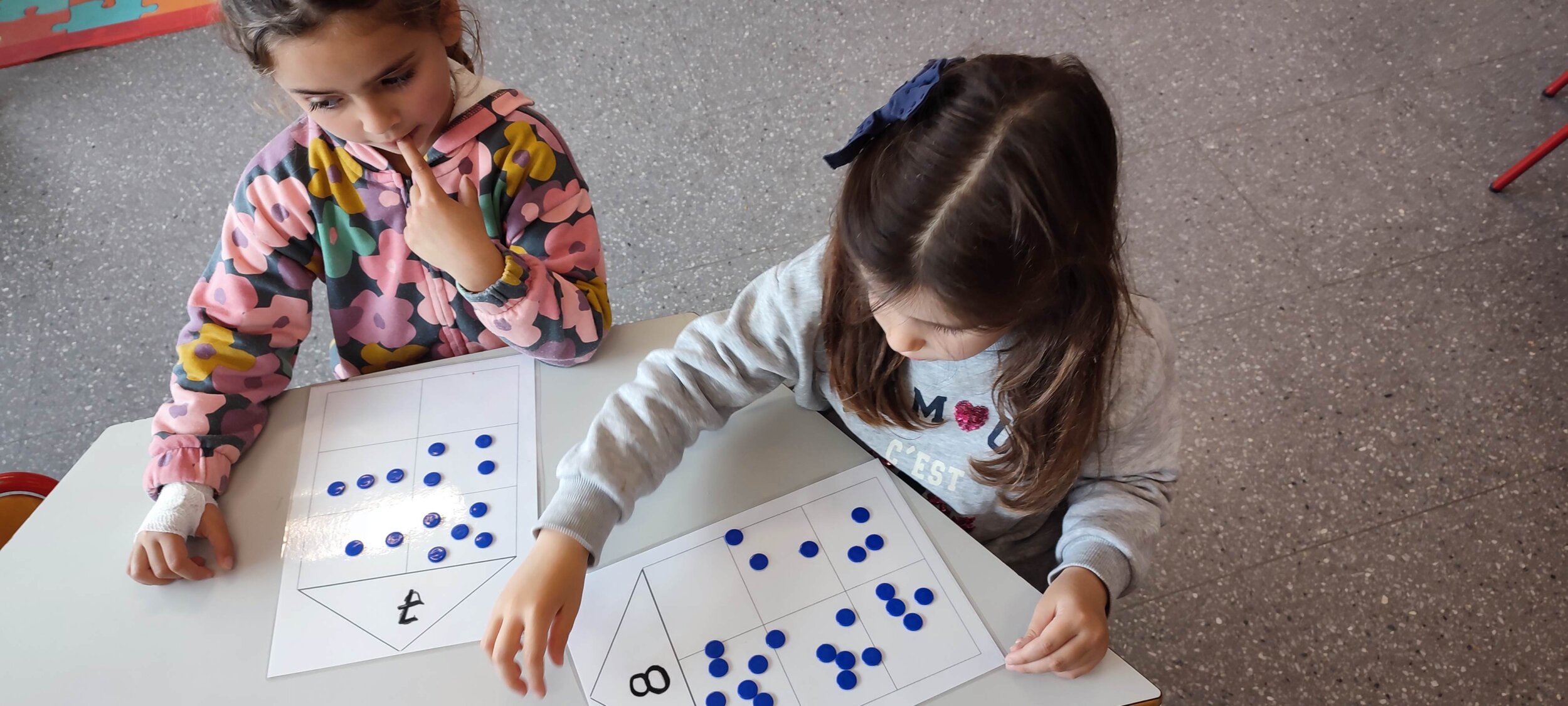 IMG_20250313_152433 IMG_20250313_152433