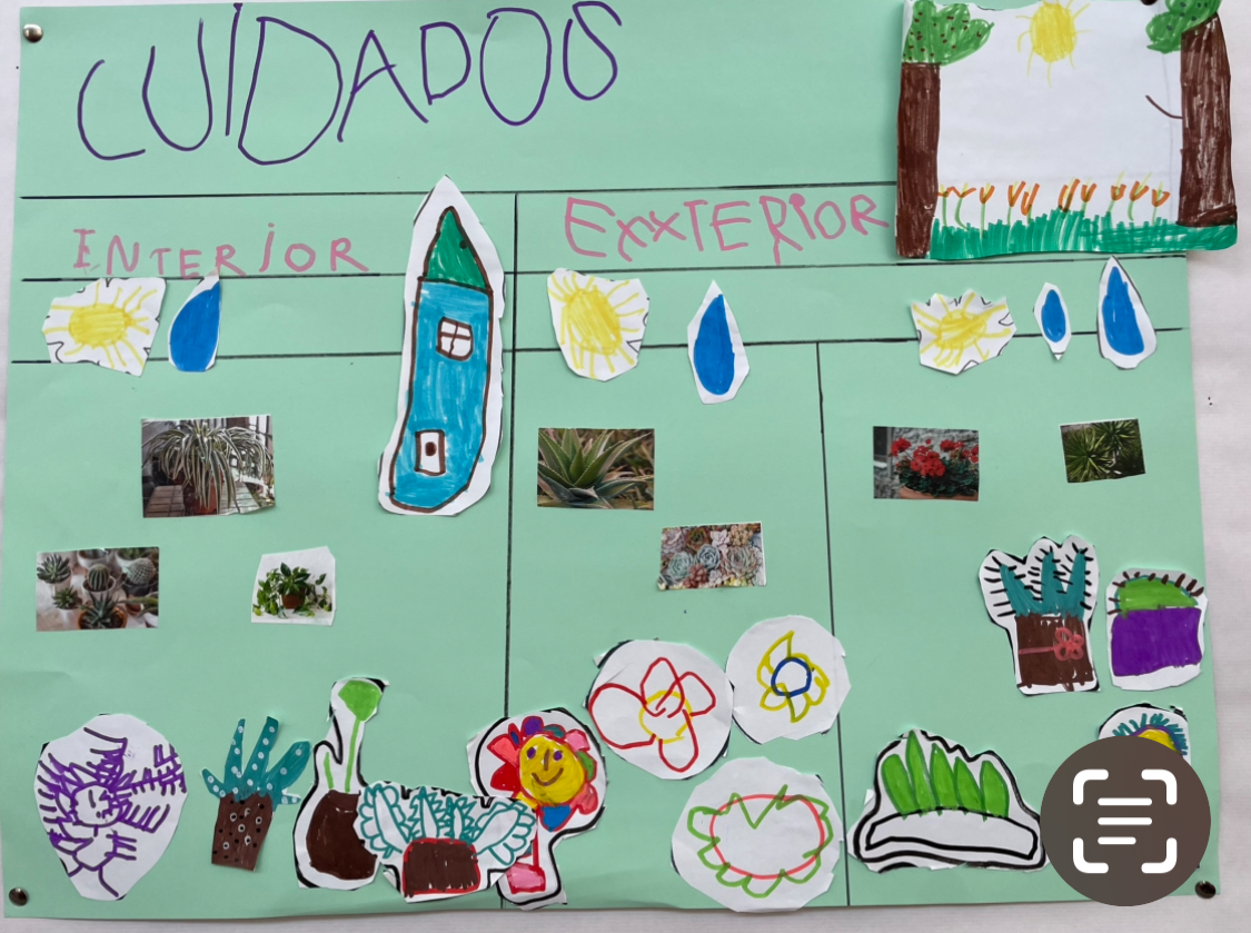 Cartel cuidados elaborado por la clase verde