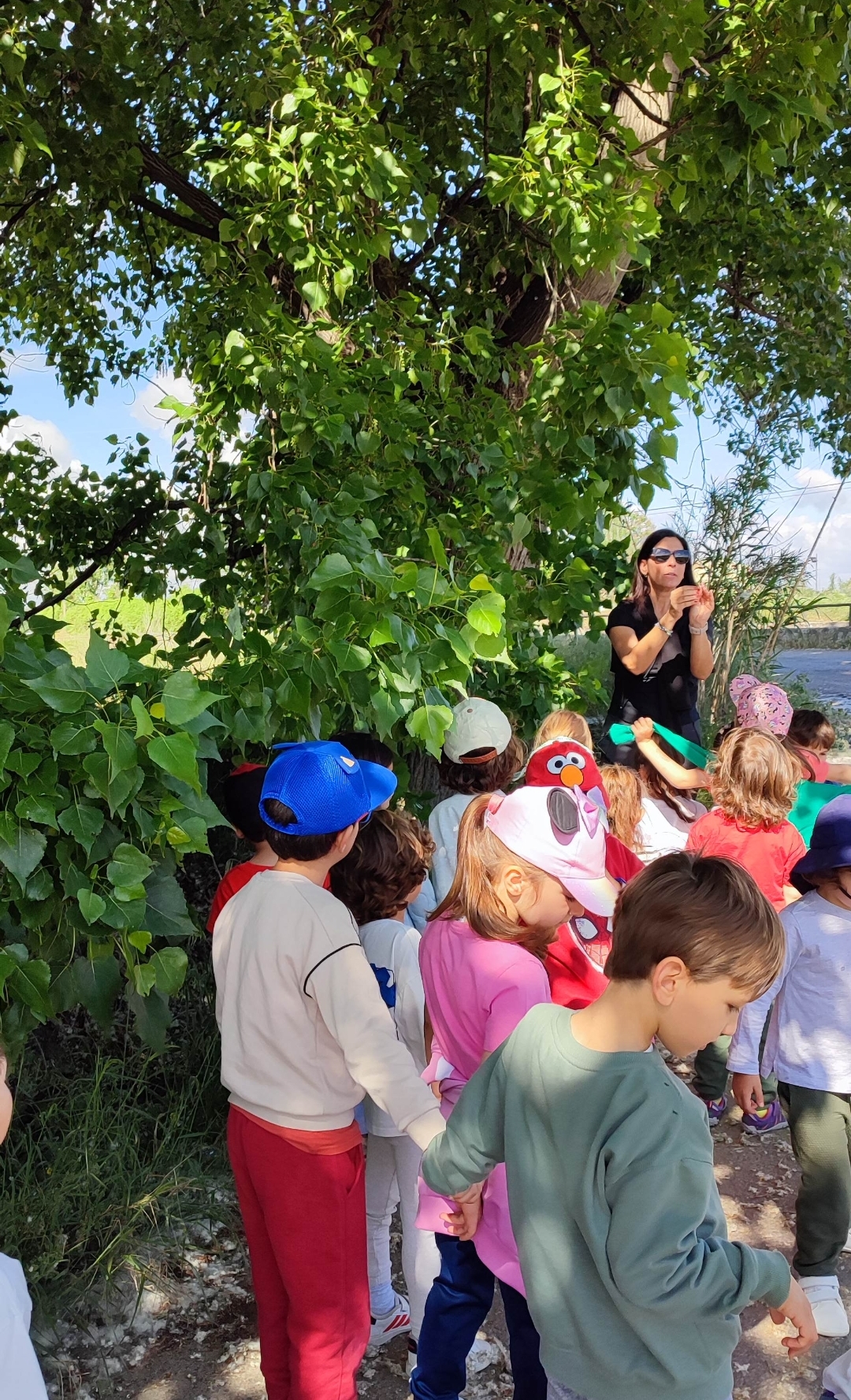 Screenshot_2025-05-06-19-56-41-302_com.miui.gallery-edit