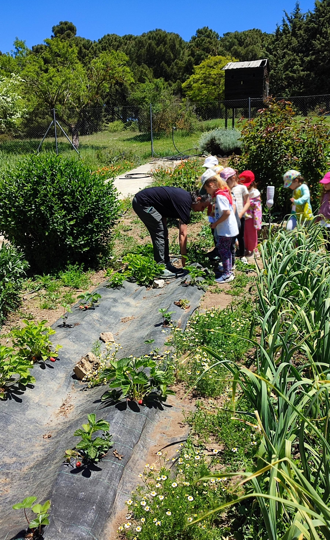 Screenshot_2025-05-21-21-20-35-936_com.miui.gallery-edit