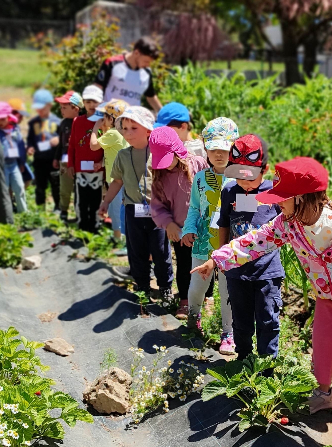 Screenshot_2025-05-21-21-21-06-732_com.miui.gallery-edit