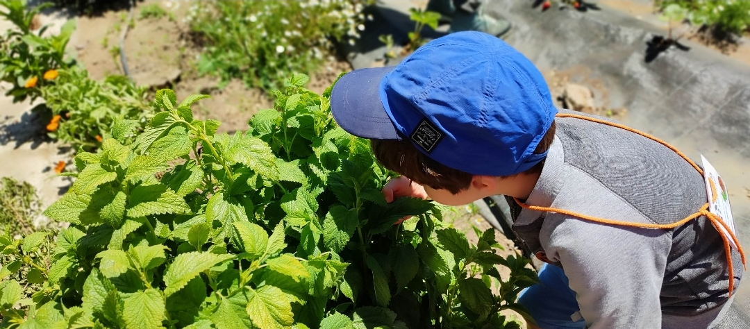 Screenshot_2025-05-21-21-21-42-873_com.miui.gallery-edit