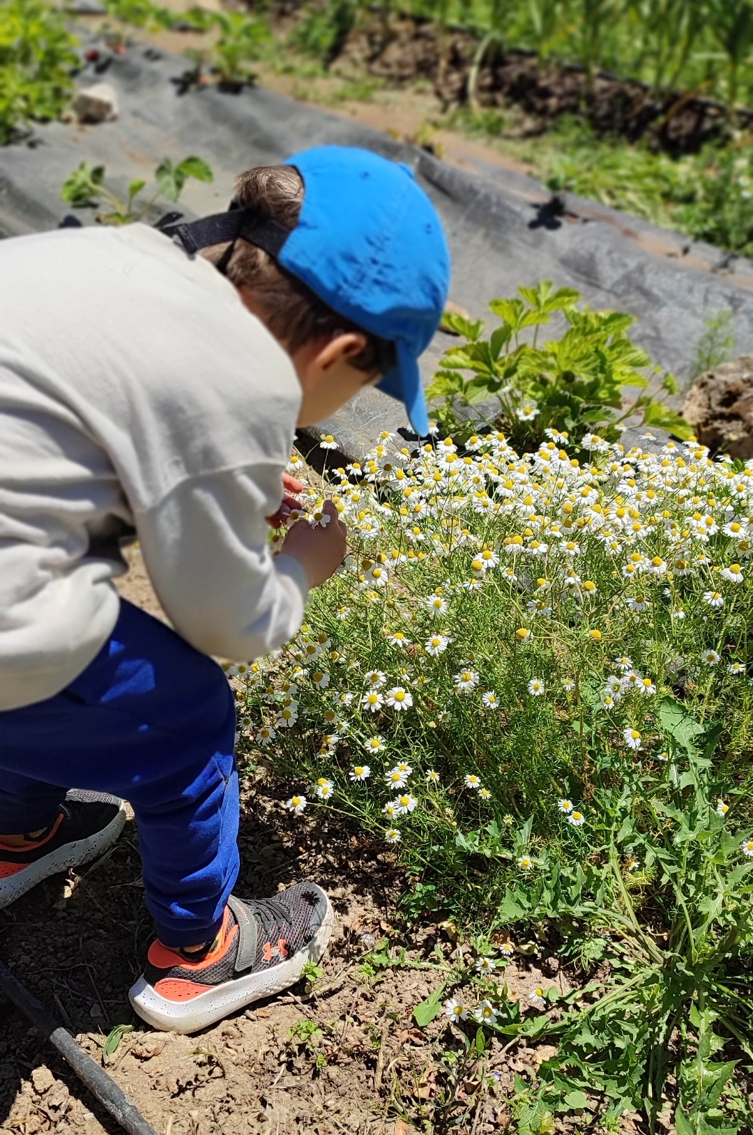 Screenshot_2025-05-21-21-21-55-086_com.miui.gallery-edit