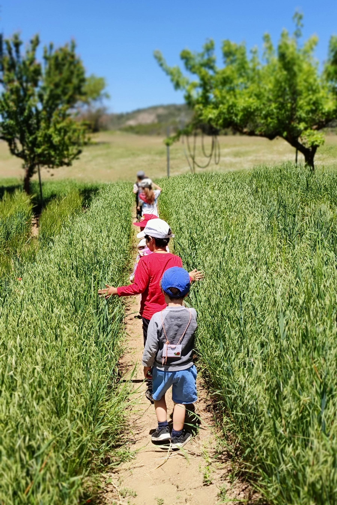 Screenshot_2025-05-21-21-22-08-552_com.miui.gallery-edit