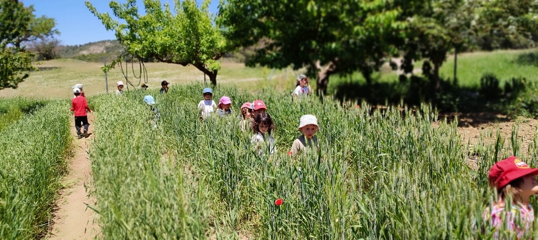 Screenshot_2025-05-21-21-22-56-065_com.miui.gallery-edit